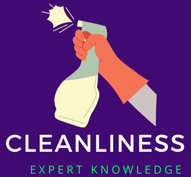 cleanliness expert